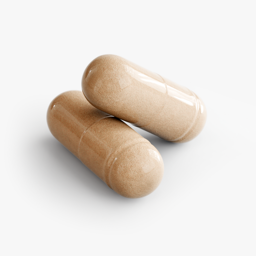 Mushroom Complex 10X packaging detail – The Mushroom Market