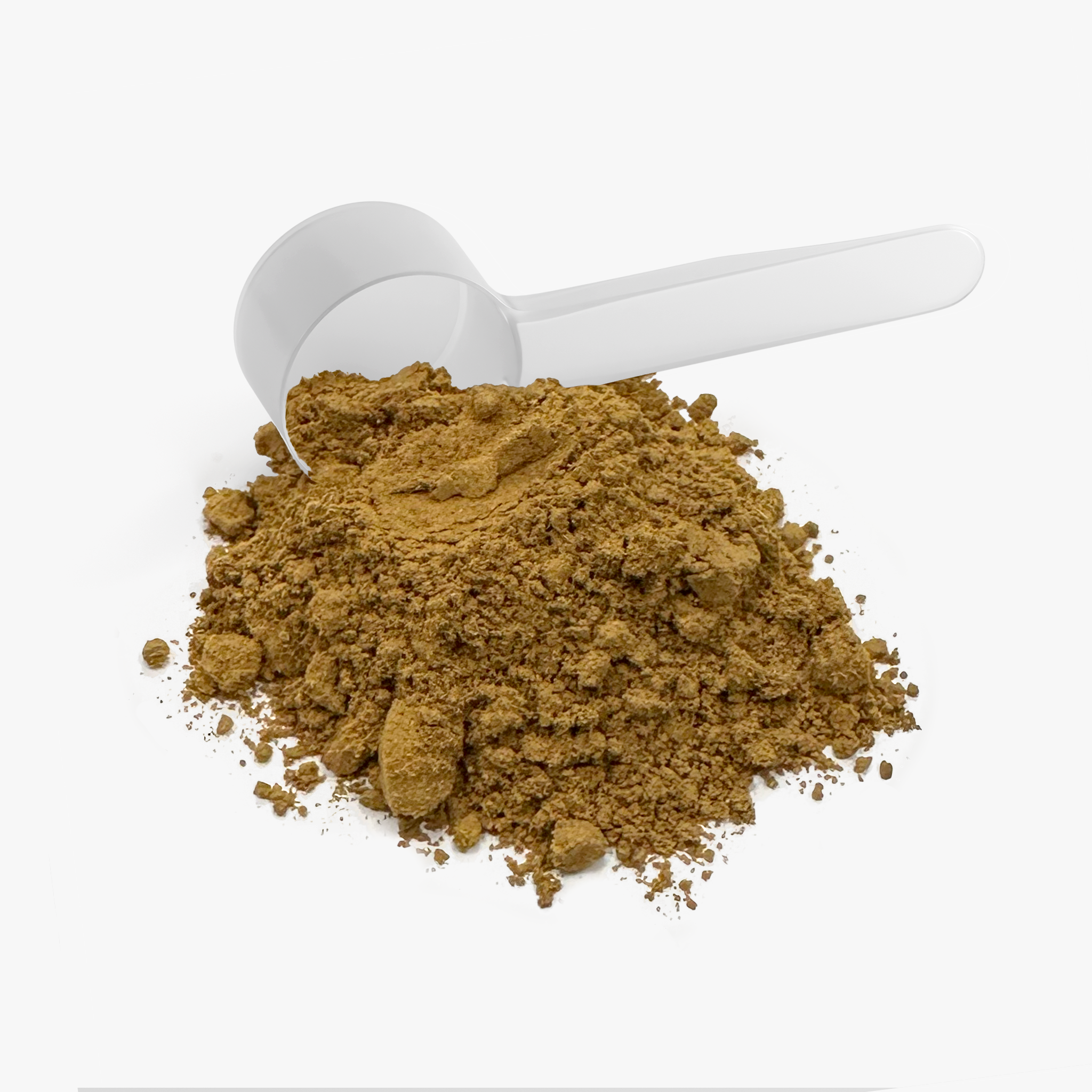 Instant Shroom Brew — Medium Roast