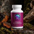 Chaga Mushroom Caps – 60 vegan capsules of organic chaga mycelium – The Mushroom Market