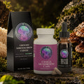 Shroom Starter Pack – Ground Shroom Brew Coffee, Chaga Mushroom Caps and Reishi Relax Elixir together – The Mushroom Market