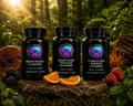 Gummy Bundle – three jars of mushroom gummies together – The Mushroom Market