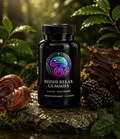 Reishi Relax Gummies – blackberry reishi gummies, 30 count – The Mushroom Market